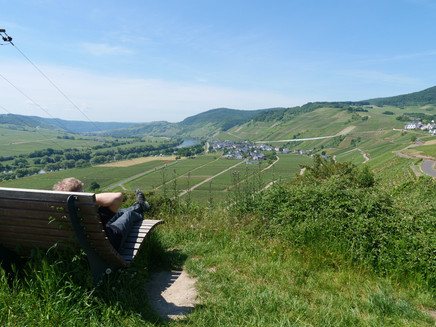 Ruhebank mit Blick auf Osann-Monzel und Kesten